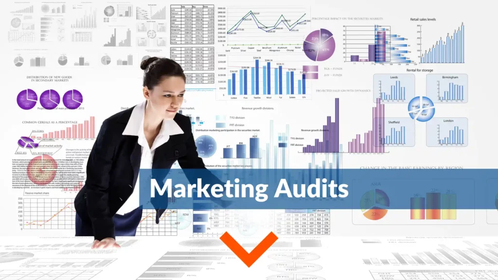marketing audit