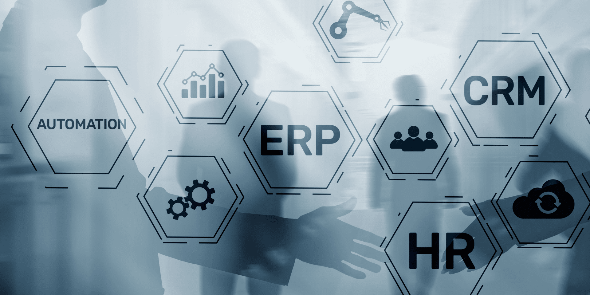 What Best of Breed ERP