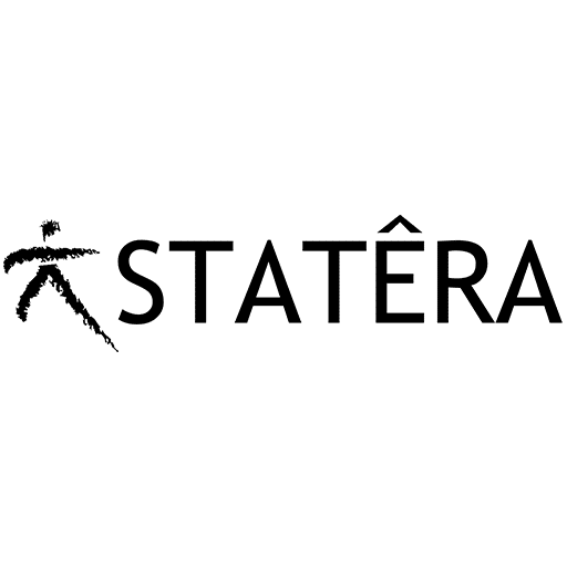 statera consulting case study