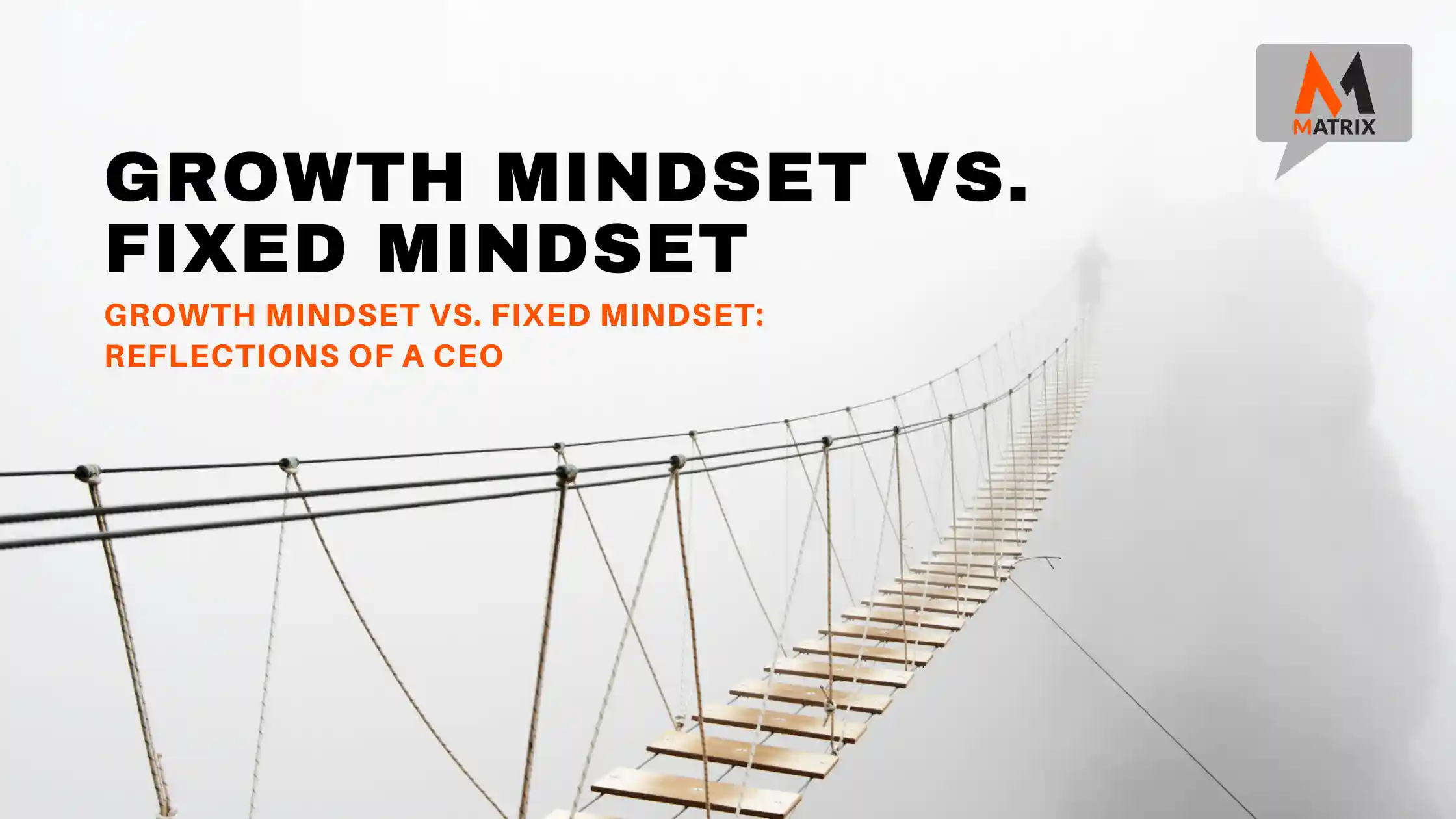 growth mindset fixed mindset CEO CMO BOD