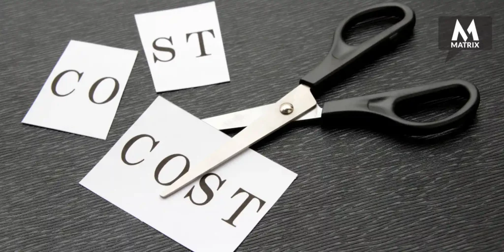 ceo marketing cost reduction sales