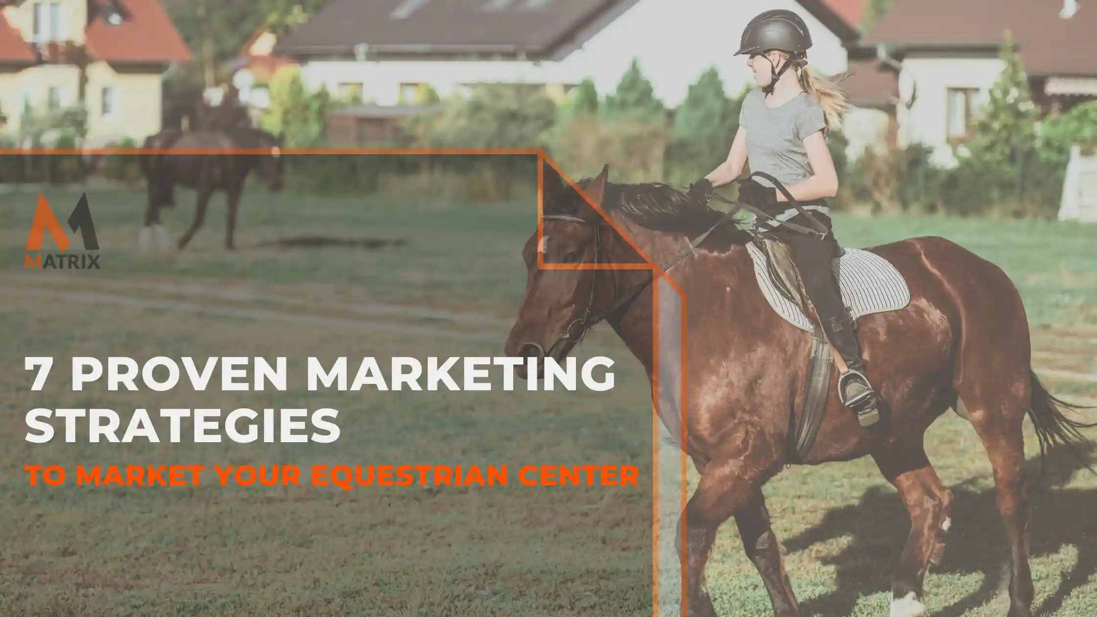 Marketing Strategies Market Equestrian Center