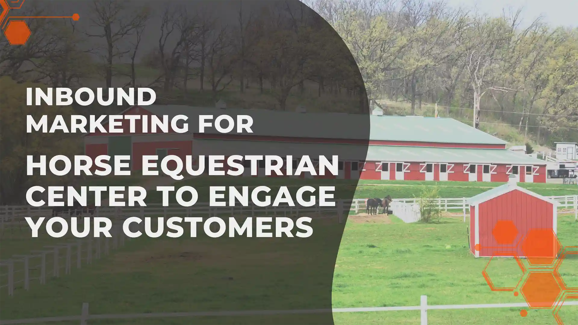 Inbound Marketing Horse Equestrian Center