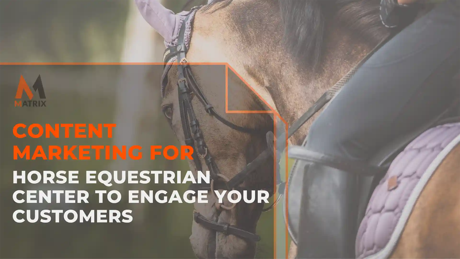 Content Marketing Horse Equestrian Center