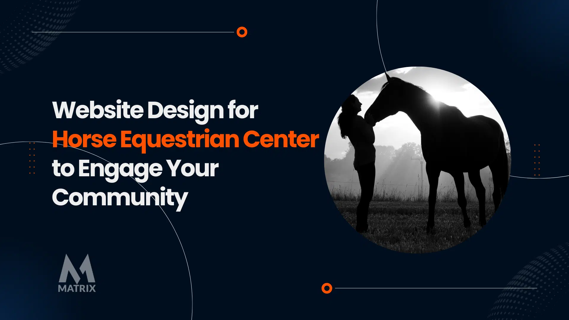 Website Design Horse Equestrian Center