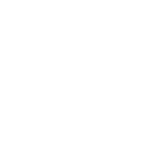 new belgium brewing