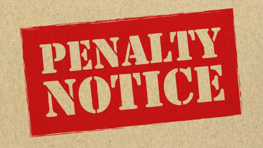 sep penalty google