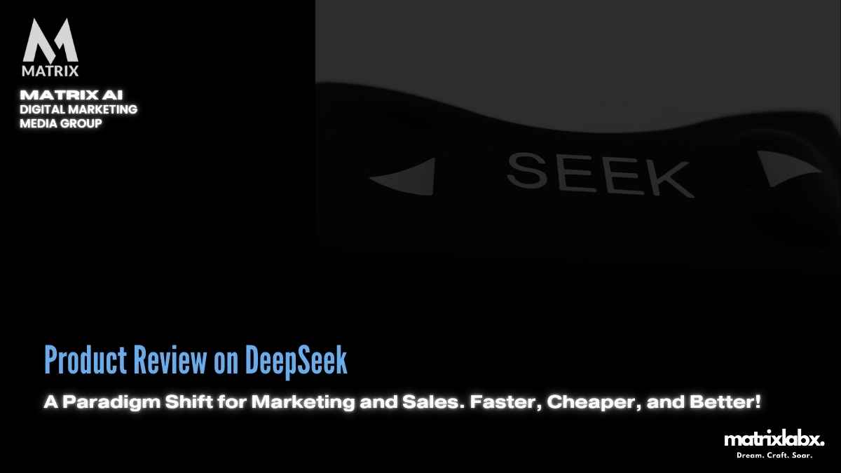 DeepSeek product review