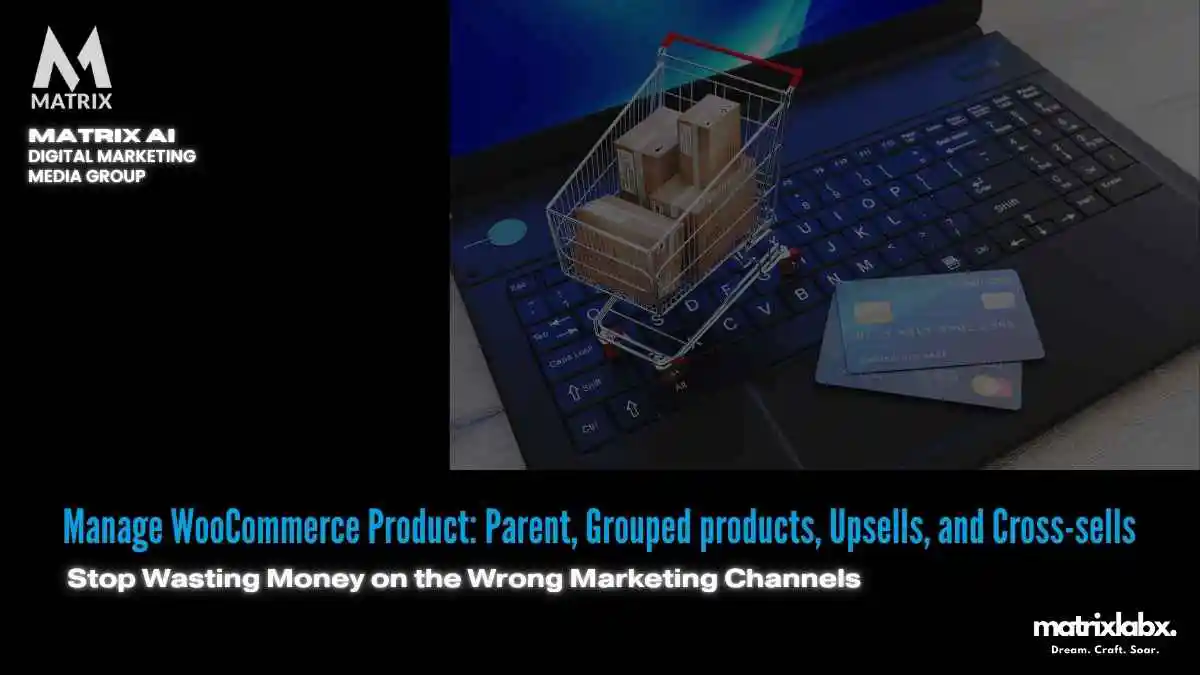 Manage WooCommerce Product